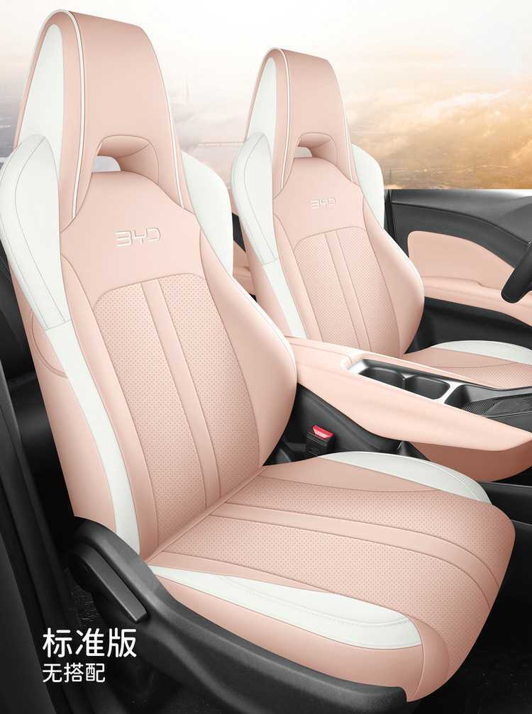 Byd Seagull Seat Cover for All Seasons, Seagull Special Seat Cushion, All-Inclusive Car Seat Cover, Car Seat Cushion