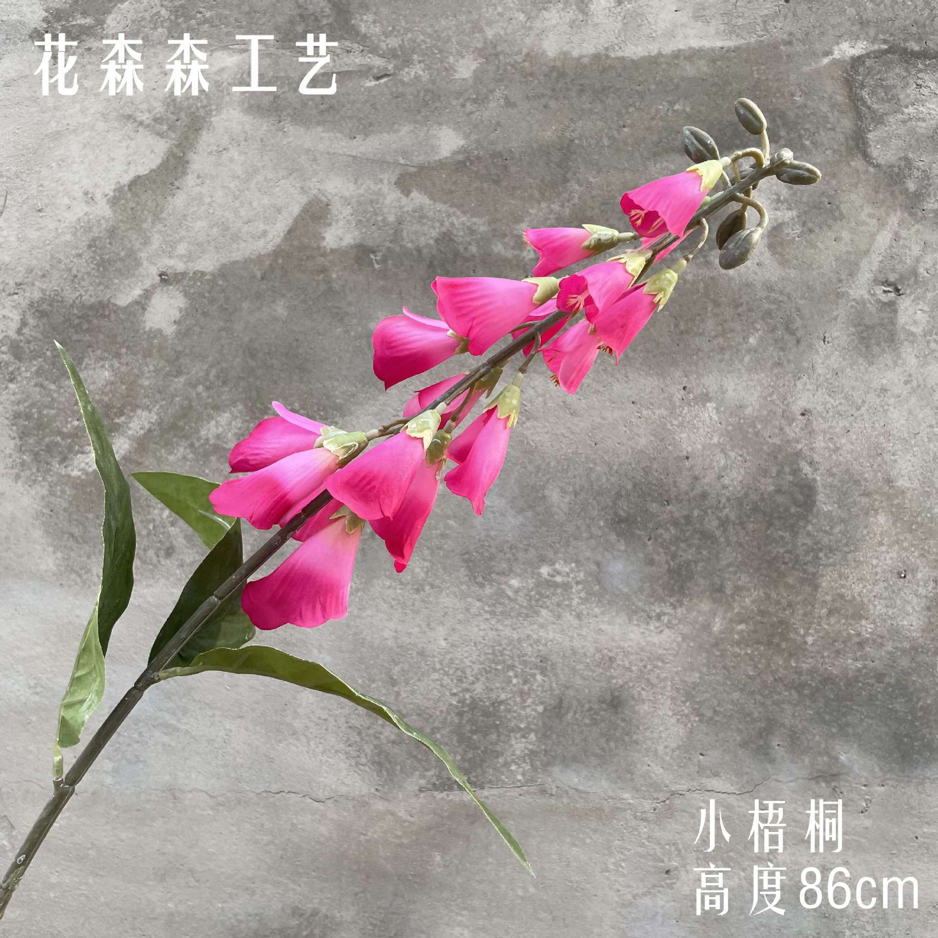 리틀 시카 모어 160827