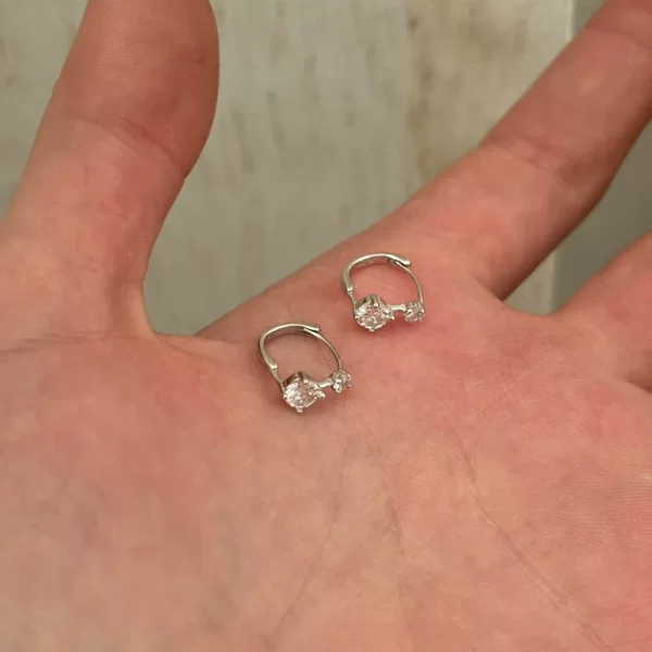New Double Zircon Earrings Women's Exquisite and Small Design Sense Light Luxury Niche Advanced Ear Pole