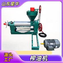 95型榨油机全自动花生菜籽大豆螺旋压油机商用小型大豆葵花籽厂家