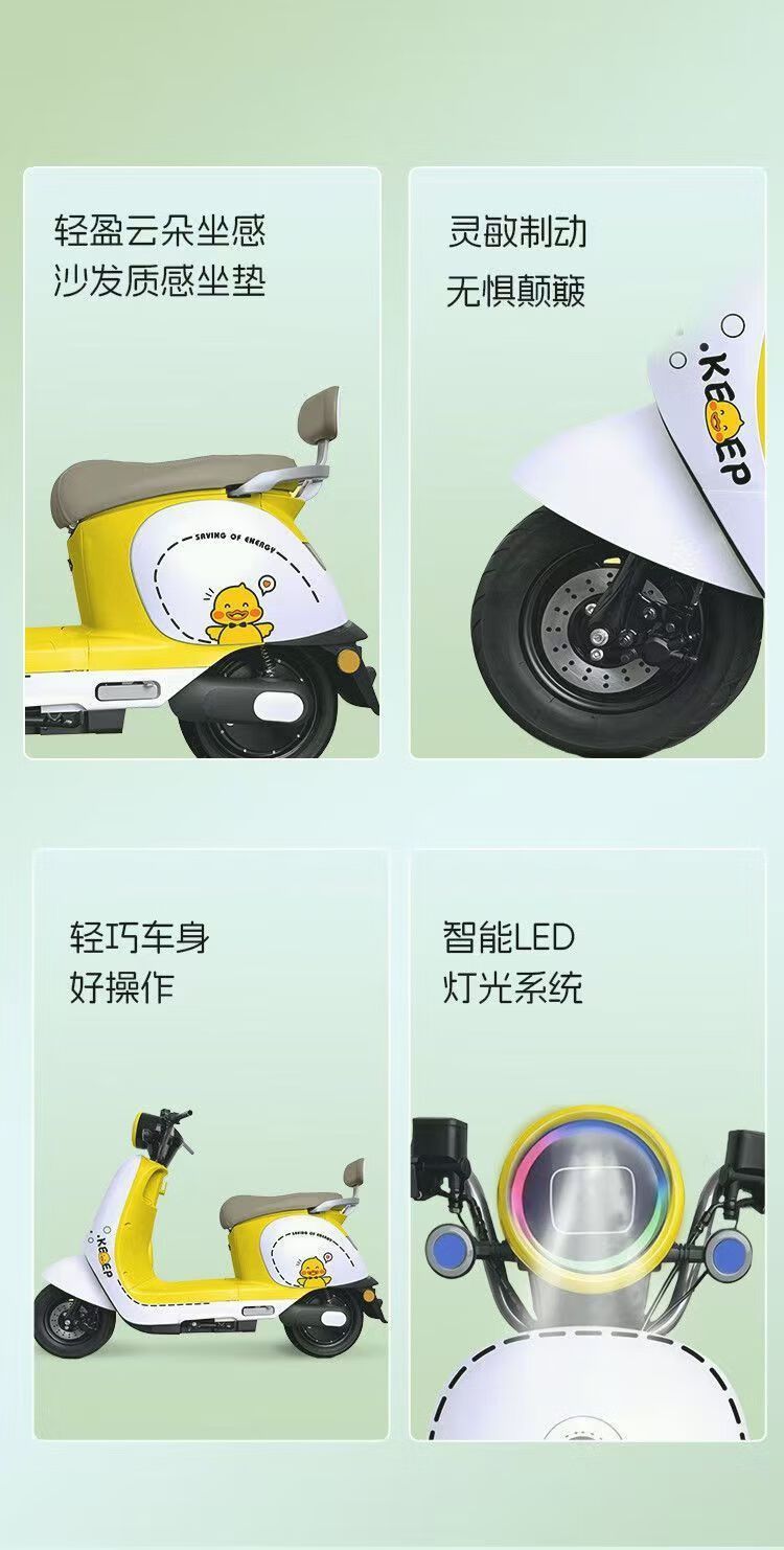 Electric Motorcycle Scooter