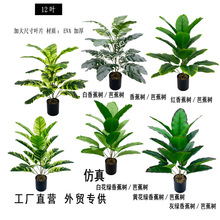 ����Gֲ ���������B 21 �~���˽�ֲ��Ҿӿ͏d��ؔ[�����Ի���