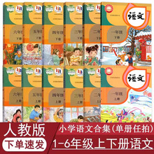 现货正版人教版小学语文全套12本一二三四五六年级上下册语文课本