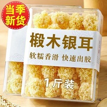 福建古田农家椴木小银耳软糯易出胶毛重非净重今年新货无硫熏菇