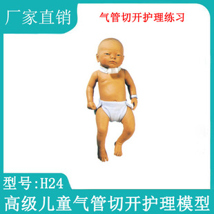 Advanced Pediatric Tracheotomy Care Model Pediatric Nursing Training Model Medical Teaching Model