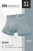 3033 gray green