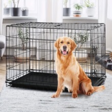 H 73352 Pet Cage for Sma Medium Dogs ������ ŷ���羳