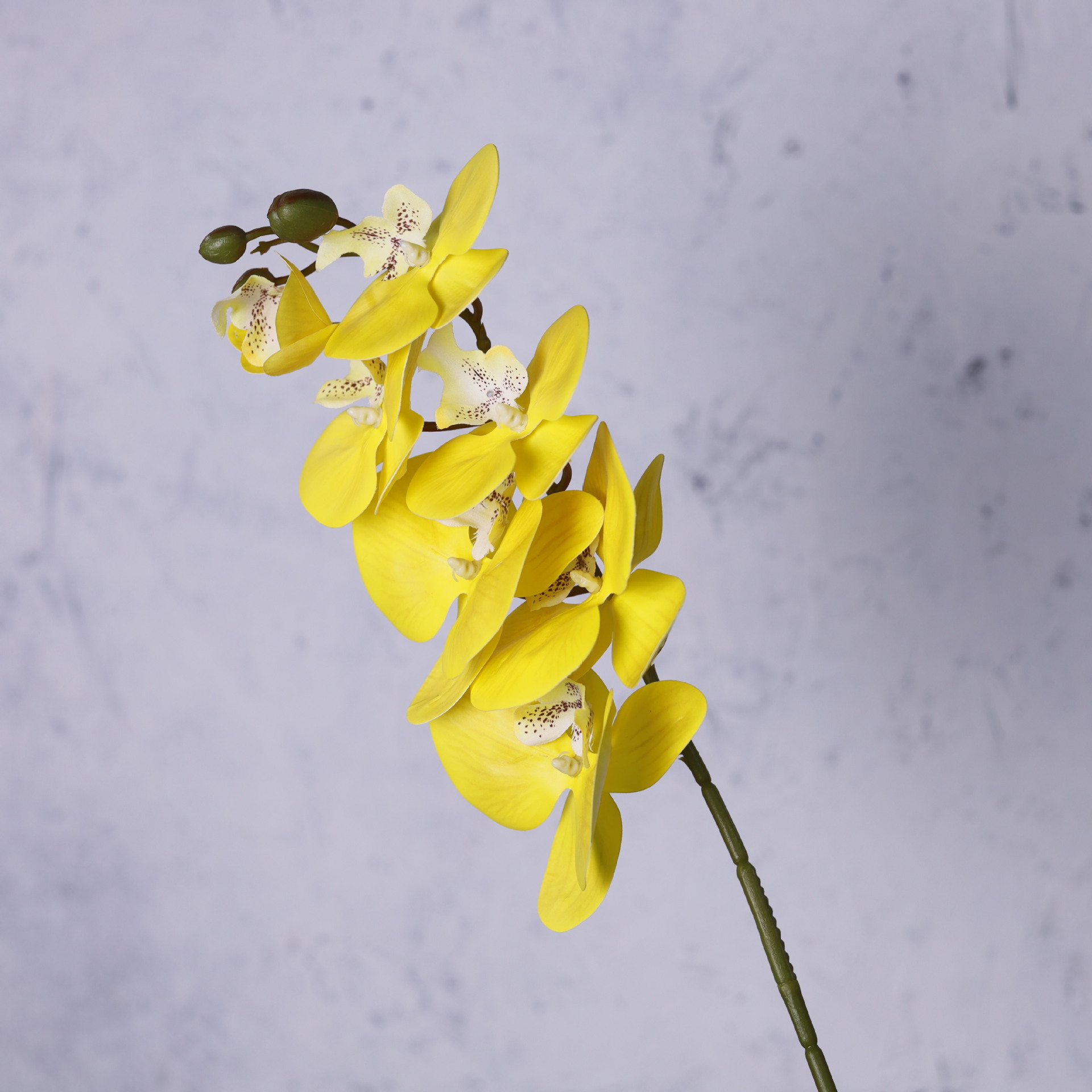 Impresión 3D de 7 cabezas de orquídeas mariposa flor de decoración de flores de alto nivel flor de nicho decoración floral decoración de sala de estar