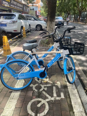 Electric Bikes and Scooters: Child seat shed