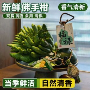 �����Ƥ�G���J�[����Ȼ���̸ָ����pȫ��Ȼ��޹���^�p�幩��ؔ