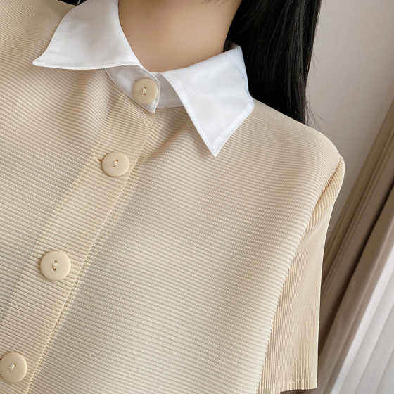 Miyake Style Pleated dress 2025 Summer New Niche Design Sense Elegant Slimming All-match Short-sleeved Skirt