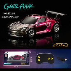 Haotian 2022 ultra-small mini gold-plated racing light pocket remote control car model car