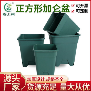 Square Gallon Root Control Basin Green Mountain Basin Plastic Flower Pot Environmentally Friendly Plastic Thick Green Flower Pot Rose Flower Pot