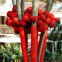 Ԫ������tɫ�پ���ë������⾰�^��֦�Ғ��b���ꐄ��⹝���b��