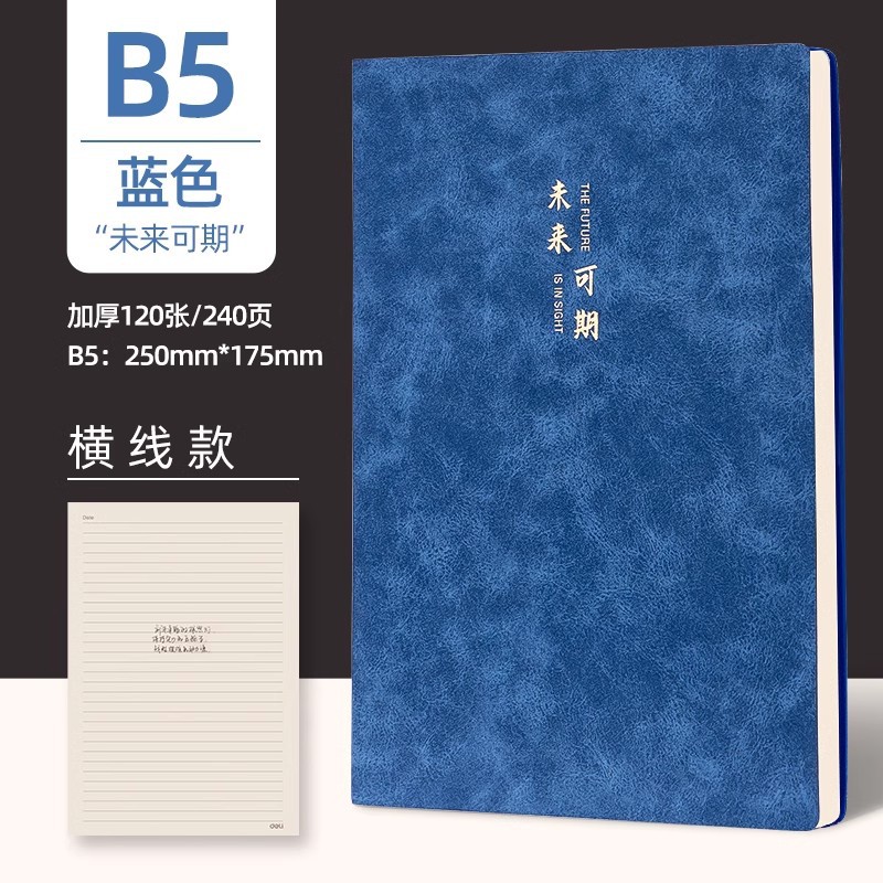 Deliky B5 cuaderno de cuero de oveja cuaderno de cuero de cuero suave engrosado escritorio de negocios actas de reuniones