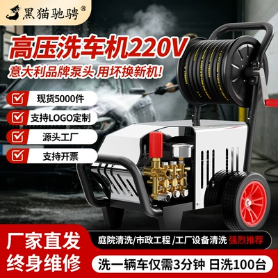 Black Cat 220V Ev Yüksək Təzyiqli Avtomobil Yuma Nasosu
