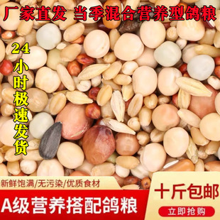 �������10������Z�������Z���Bʳ���Z����ِ�������^�p���Z