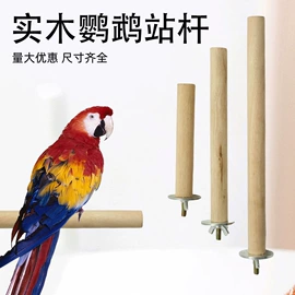 其他小宠用品;鸟类;宠物周边用品