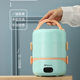 Electric Lunch Box with Two or Three Layers, Plug-In Heating and Insulation, Convenient for Office Workers, Home Use, Mini Student Rice Cooker, Cross-Border