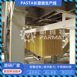 在济南出售的烤宽面条制造机长切意大利面食制作生产线500kg/h