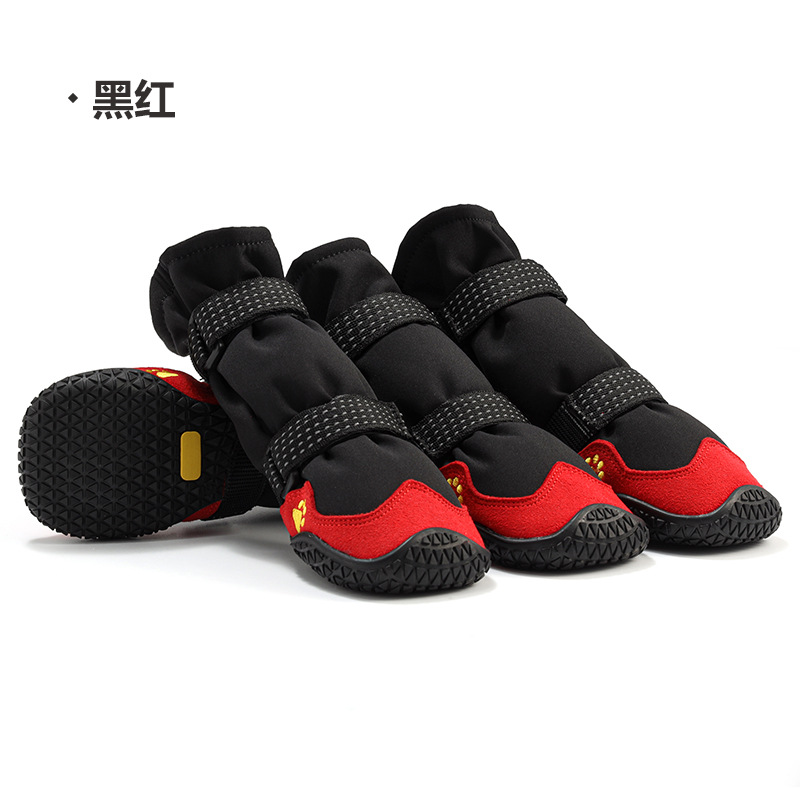 中文 (10)