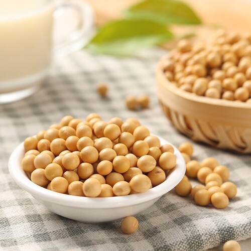 Northeast Soybeans 500g Fresh Farm Goods, Plump Beans, Multiple Sizes for Making Soy Milk