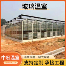 智能连栋玻璃温室 物联网温室无土栽培 喷灌系统大棚建造厂家