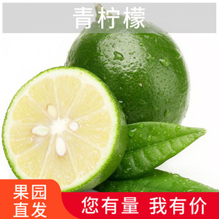 Hainan Lemon Fresh Fruit теперь выбирает 1/2/3/5 Catties of Jacus в сезоне.