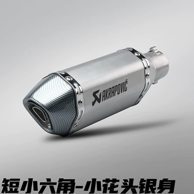 Modified Exhaust Pipe Imitation Racing: Motorcycle exhaust pipe - 300mm-short-style-small-hexagon-small-flower-head-silver-body