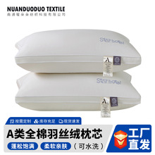 2025�¿�Ƶ��L���^��о��ˮϴ���ÌW��������p�����^48*74cm