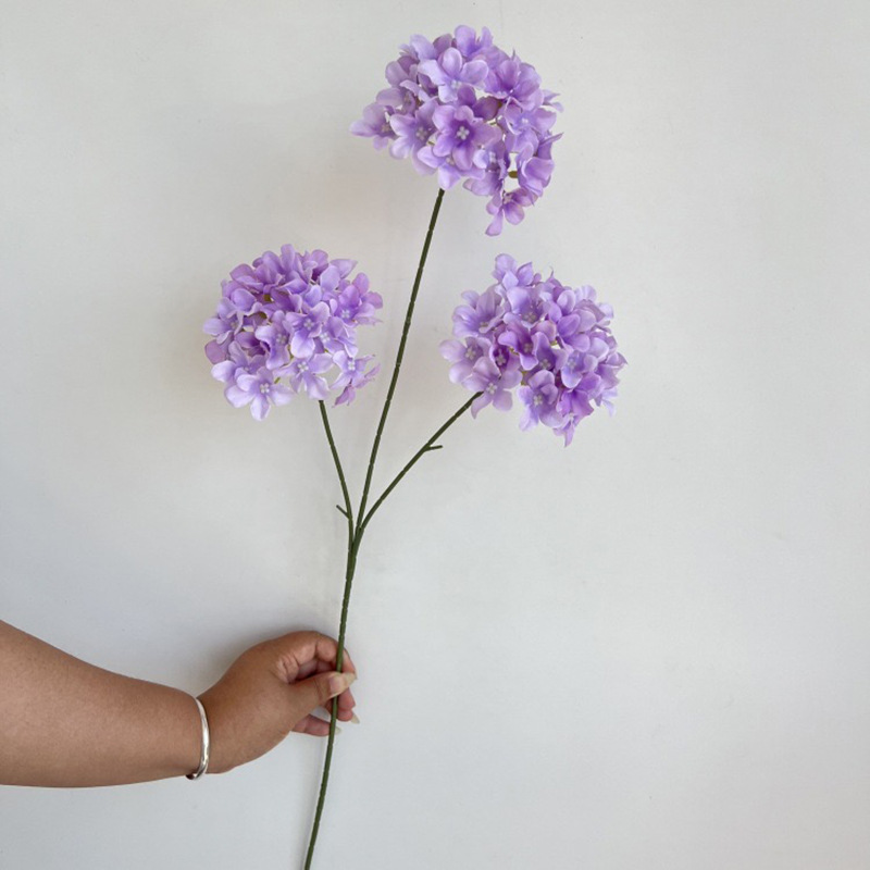 3개의 머리 눈꽃 수국-보라색