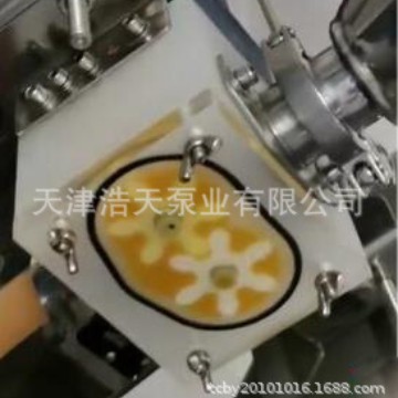 聚乙烯齿轮泵TDPE 蜂蜜 果酱 奶油 蚝油番茄酱齿轮泵  塑料齿轮泵