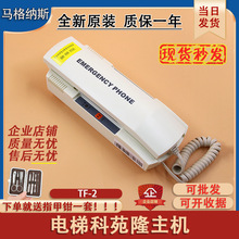 ͨ����݌��v�C�I플��v�CTF-2��Է¡�C�����v�CKM896384������