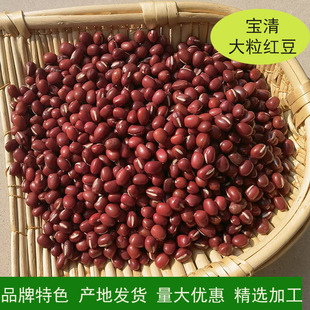 ��ӯ�S���¼Z�F؛�S�����l�|���t����������tС���ּZ50������