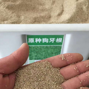 ��ƺ�N�Ӽ��ɷf����é��������ò��o�������������������~�݃��N