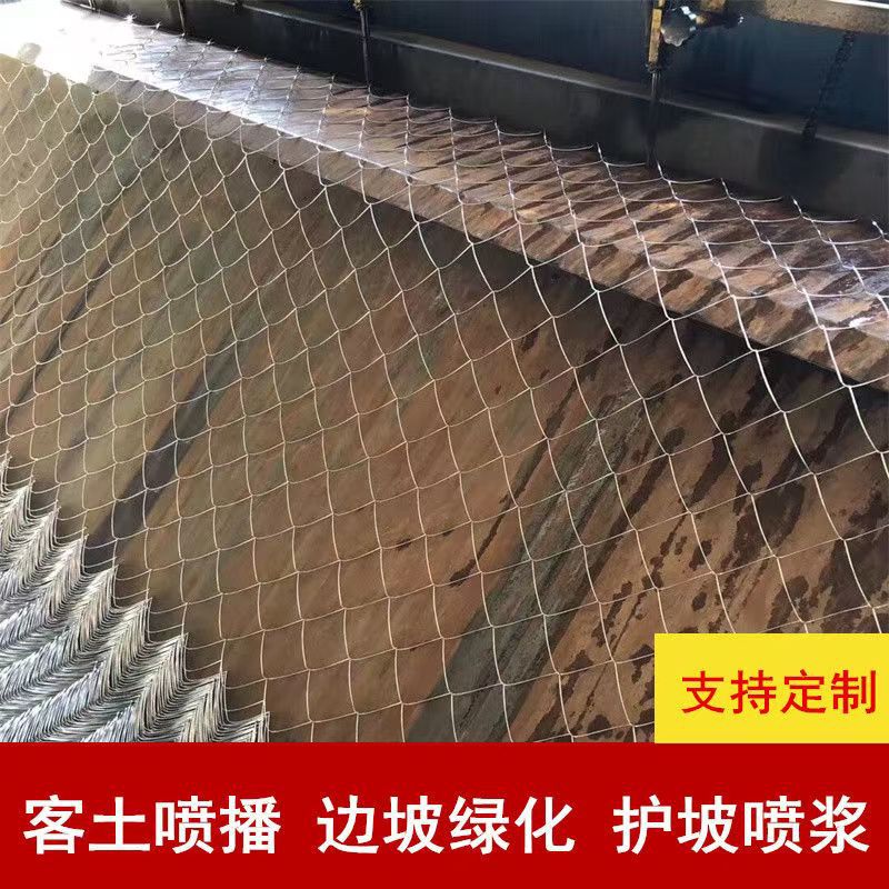 Chengdu tierra huésped siembra hierba rejilla de alambre de púas sichuan rejilla de pulverización de pulverización de rejilla de gancho galvanizado ancla