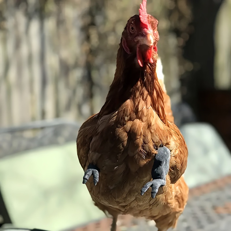 4b6c6f27c2ca79f25c82f72ab7ae41