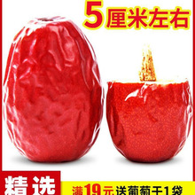 �½��t��������󗗮a��t���ɿɊA���Ҵ��Ӹɹ��ٷ���S��