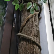 ��������Ƥ���^�b���@�L�쾰����ˮ�ܰ�늾��U�����Ƥ�٘�Ƥ