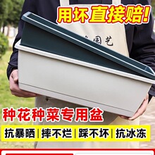 ���ϻ�������̨�N�����߲˷Nֲ��ݮ�������L�����L�l��