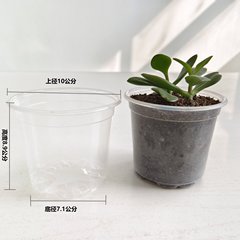メーカー卸売り100-89透明プラスチック植木鉢通気耐久性観察植物成長