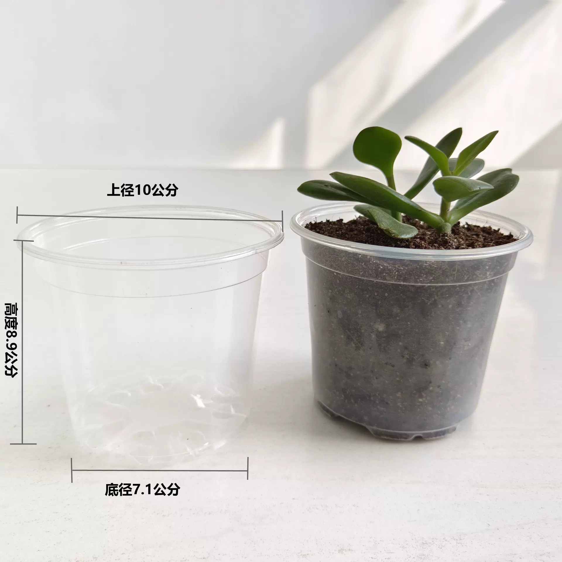 厂家批发100-89透明塑料花盆透气耐用花盆观察植物生长塑料花盆