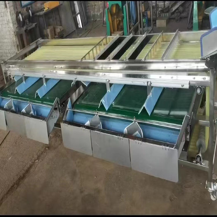 李子分拣机 桔子选果机 油茶果筛选机 布朗分选机器