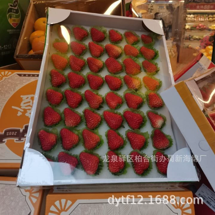 Sponge strawberry