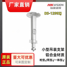 ������������ԭװǹ��Ͳ�ͼ������ͷ֧��С�͵�װ֧�� DS-1299ZJ