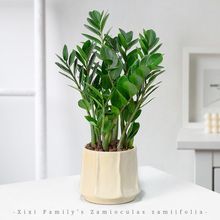 ���X�����ԓu�X�仨����ؔ�X�����҃ȾGֲ�͏d�k��������ֲ��