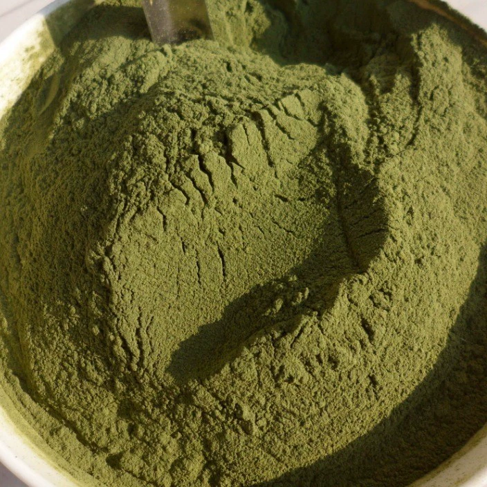 Собачий порошок водорослей для домашних животных