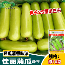 �y��N�I�����ѹϷN��  �r��ˈ@���N��������ζ��Y�����ѹϷN��