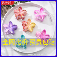 高级感电镀AB彩鸡蛋花发夹女夏威夷度假风抓夹撞色紫荆花发饰夏季