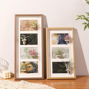 �����ֹ�diy�՚��P��ֲ��젝������M����Ƭ���b��пՔ[̨